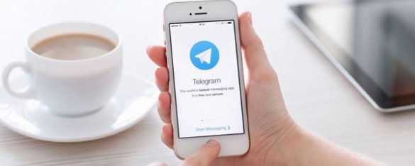 Теракты в России готовились с помощью Telegram и Zello