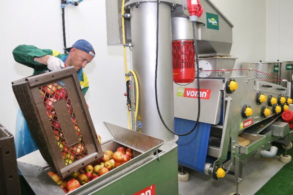 Калининградские производители начали поставки яблочного сока в Евросоюз