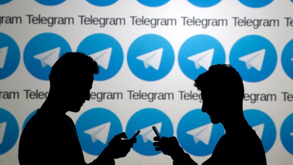 Правозащитники просят ООН защитить Telegram в России