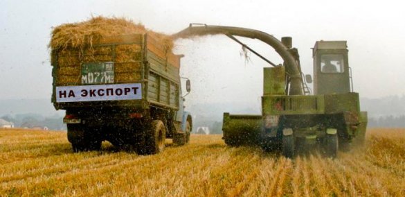 Бразилия разрешила импорт пшеницы из России