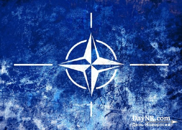 Состав сил быстрого реагирования НАТО за три года увеличили в три раза