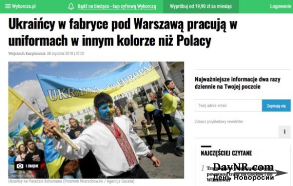 Украинские заробитчане в Польше: унижение, рабский труд, бесправие и... спецодежда