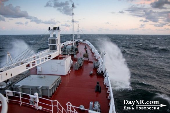 «На вес золота»: эксперт о загруженности Северного морского пути России