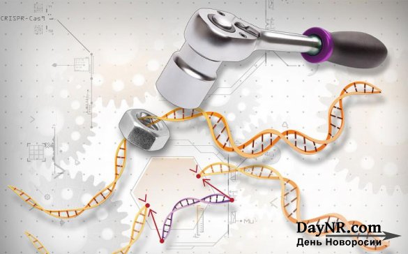Китай начал массово редактировать ДНК людей