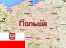 В Польше побили камнями российский автомобиль