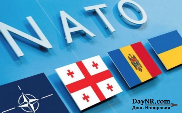 НАТО возрождает дивизию СС «Галичина» в международном масштабе