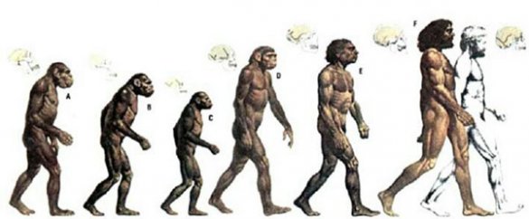 Об эволюции, морали и эволюции морали