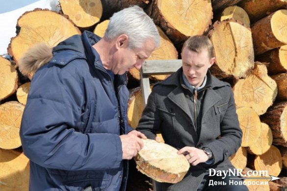 Ноу-хау сибирского ученого позволило вывести рынок лесозаготовок из тени