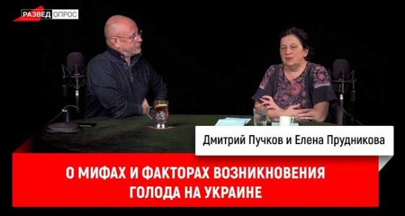 Дмитрий Пучков, Елена Прудникова о мифах и факторах возникновения голода на Украине
