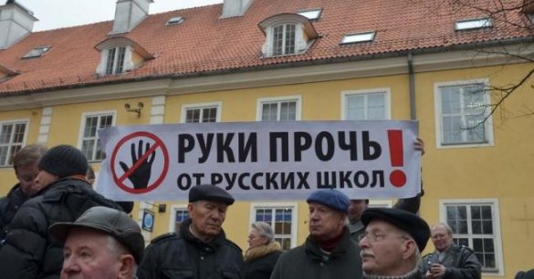 Защита русских школ: в Латвии «политические интересы важнее права и закона»