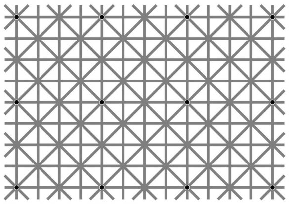 Интересно. Оптическая иллюзия с 12 точками, которые невозможно увидеть одновременно