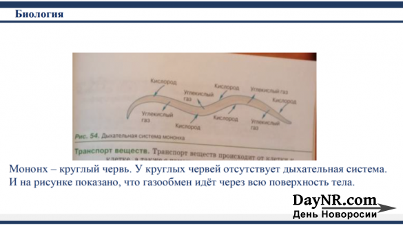 Российская академия образования подготовила список нелепых ошибок в школьных учебниках