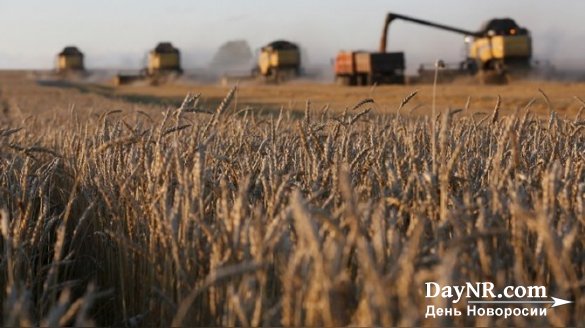 Bloomberg (США): черноморские порты не справляются с рекордным урожаем пшеницы в России