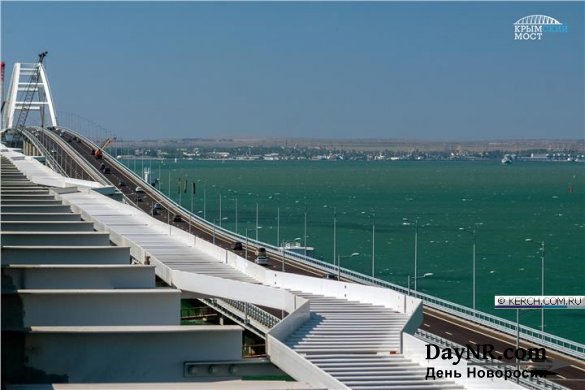 Почему мальки хамсы собираются у Крымского моста?
