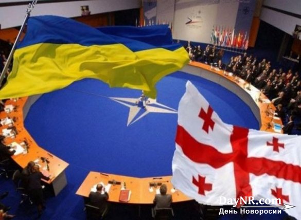 Нищую Украину примут в НАТО, когда откажется от Крыма