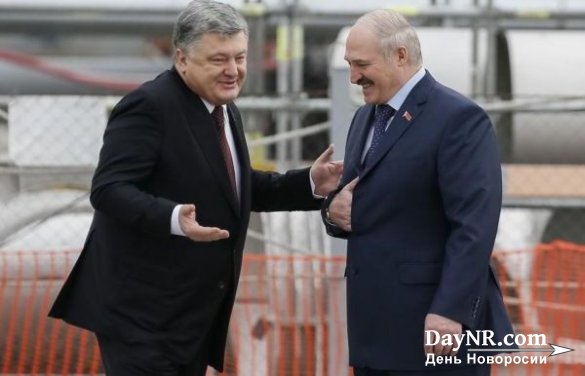 На Украине звонко облаяли Лукашенко после возвращения Порошенко из Гомеля