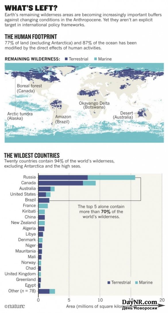 Россия возглавила список стран, где сохранилась дикая природа