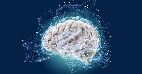Какие методики и техники развития мозга использовали правители мира?