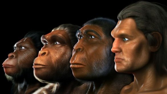 Выявлен ранее неизвестный предок человека. Его открыл искусственный интеллект