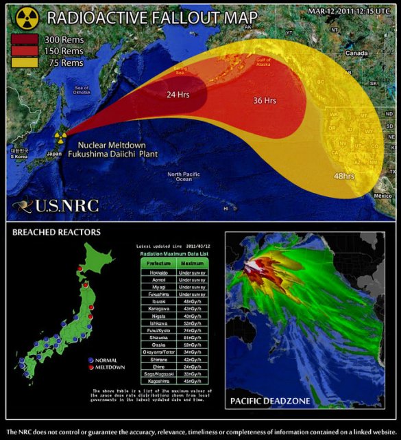 Годовщина трагедии в Фукусиме — о чём молчат экологи?