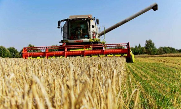 Россия стала крупнейшим поставщиком сельхозтоваров в мире